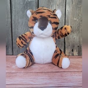 Steven Smith Bengal Tiger